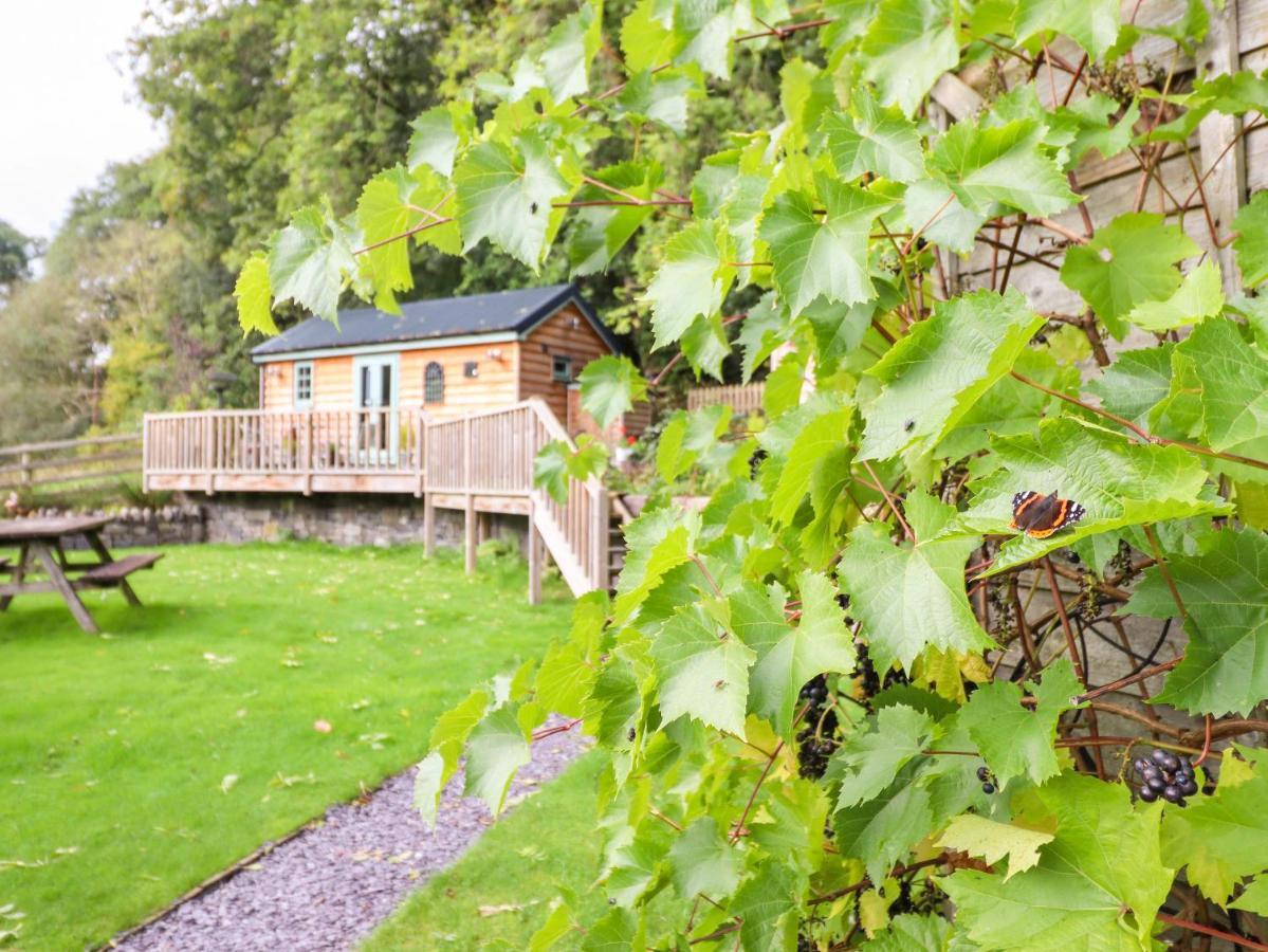 Chateau Petit Caersws ภายนอก รูปภาพ